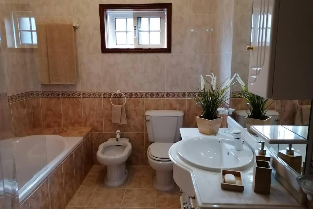 Refugio Do Seixoso Villa Celorico De Basto Exteriör bild